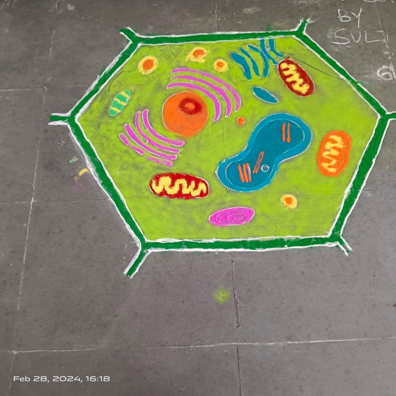 Science Day Activity 10